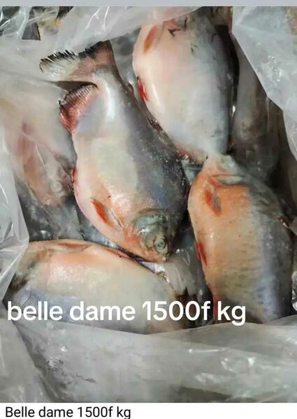 Belle dame