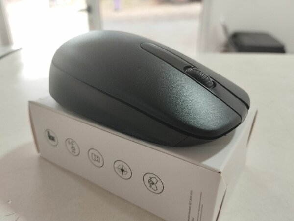 Souris sans fil