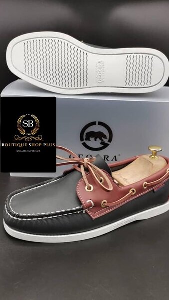 Sebago geogra
