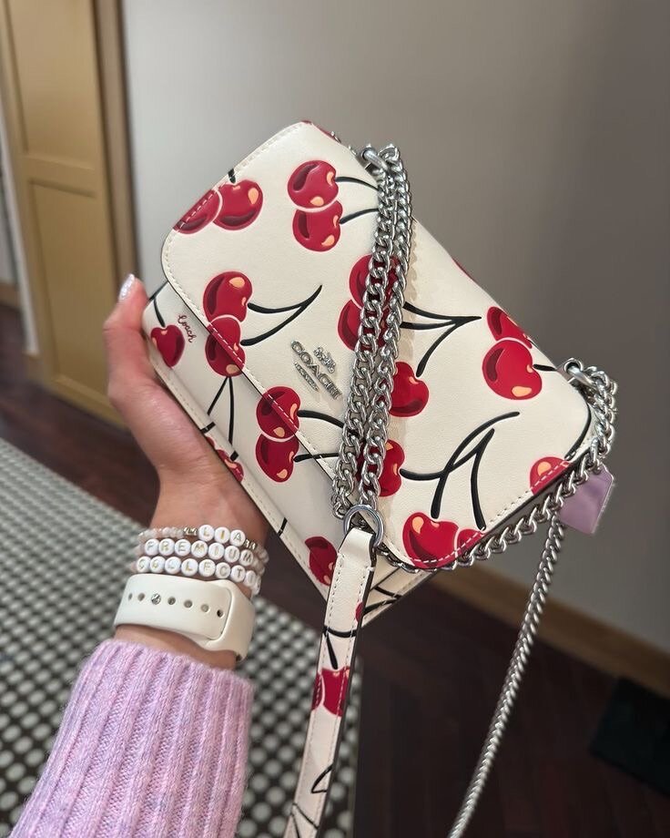 Ladies bag