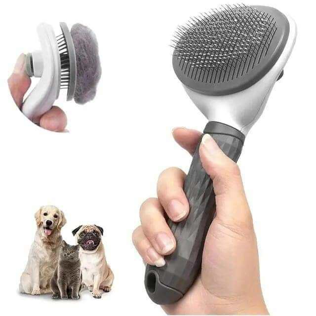 Brosse peigne