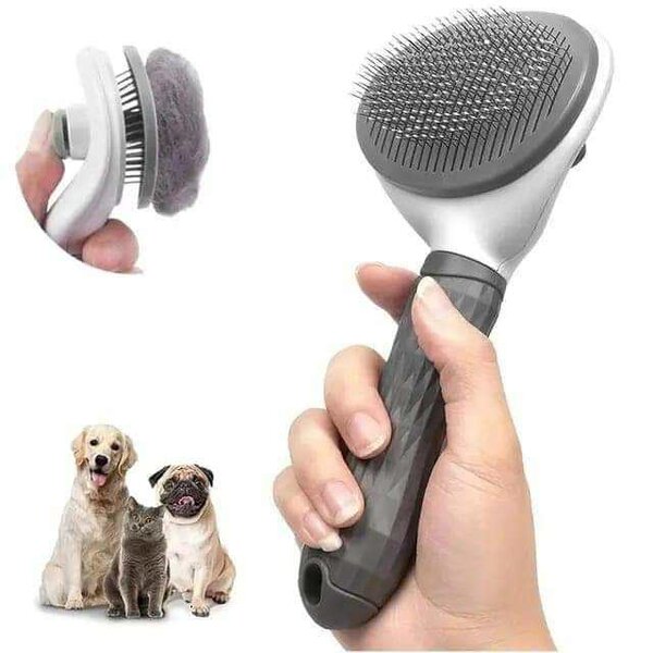 Brosse peigne