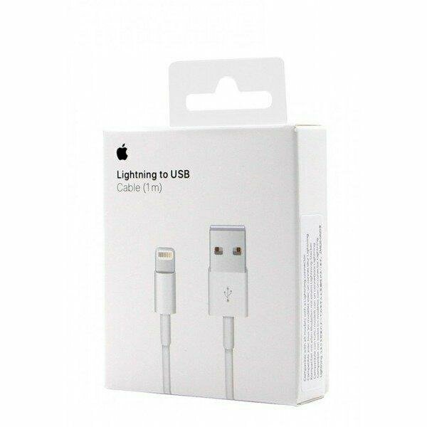 iPhone charger