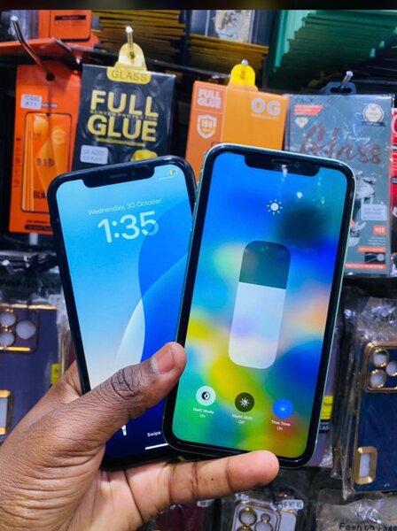 iPhone XR and 11