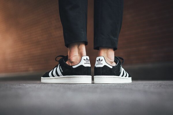 Adidas campus