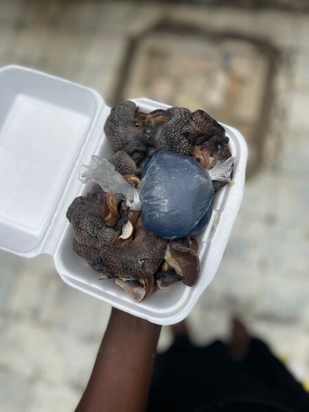 Escargot frais