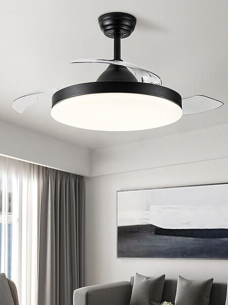 Fan with light