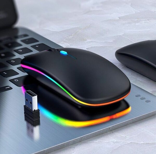 Souris sans fil