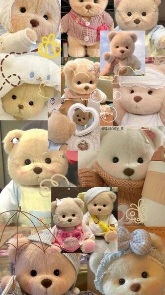 Teddy bear