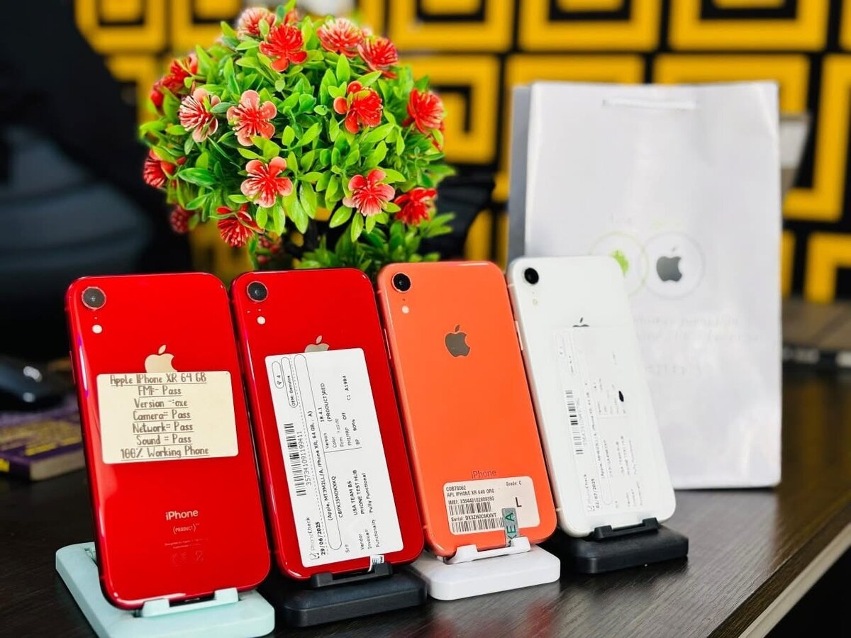 iPhone XR 64GB Reconditionné