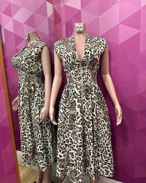 Ladies dress