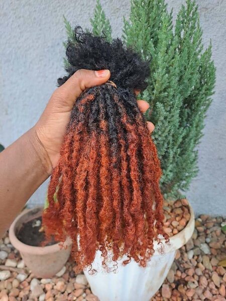 DREADLOCKS ( skinylocks)