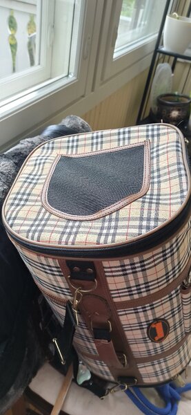 Designer Pet bag