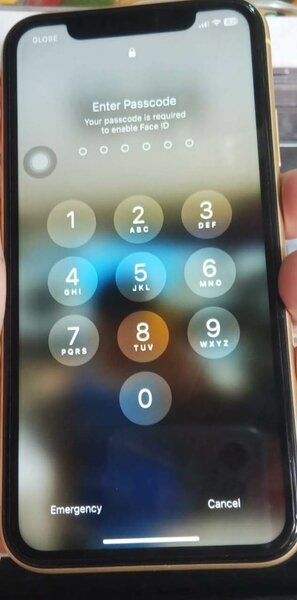 iPhone xr