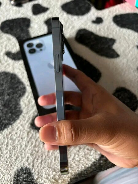 iPhone 13 pro Max