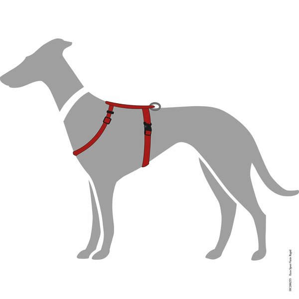 Harnais pour chien rouge