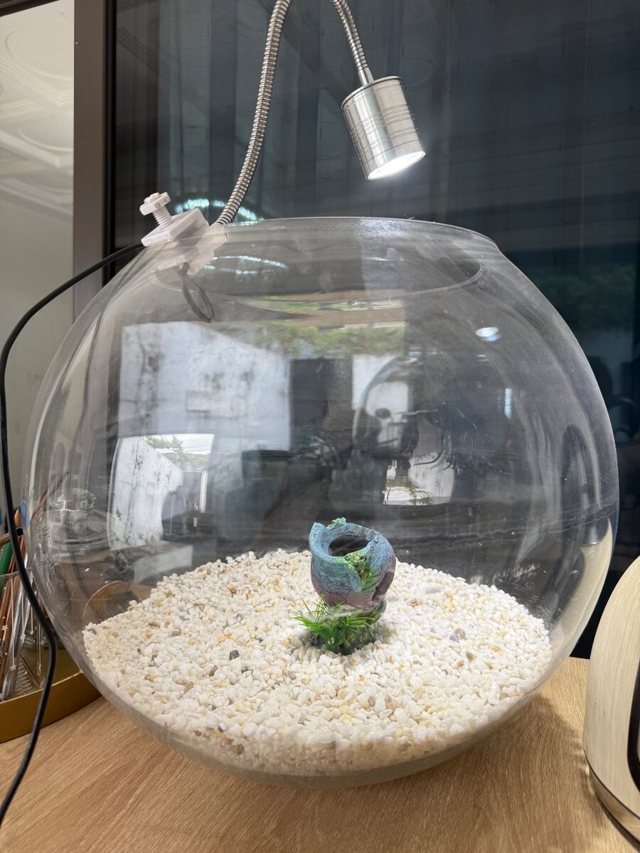Aquarium