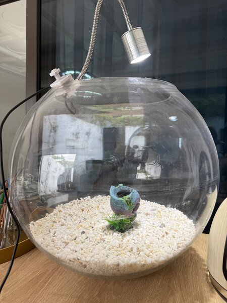 Aquarium