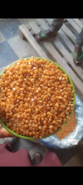 Toor dal