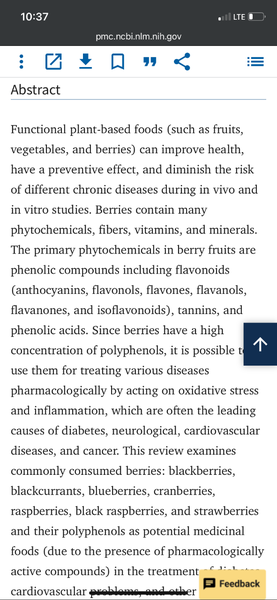 Edmark Very Berry