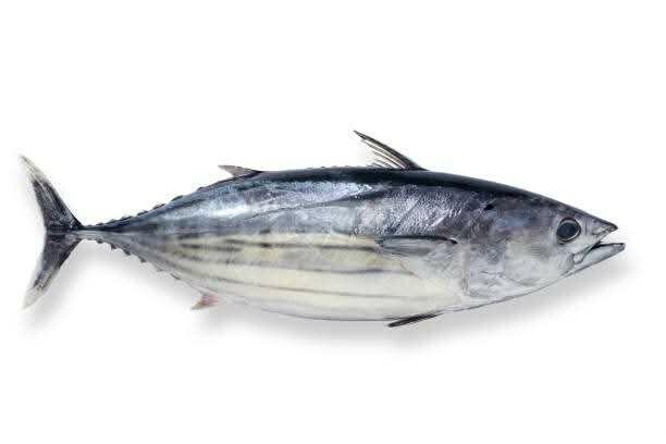 2kg Thon frais( Assaf)