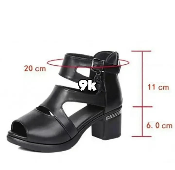 Chaussure de femme