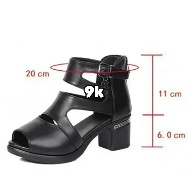 Chaussure de femme
