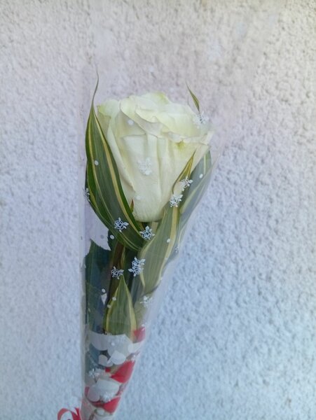 Rose blanche en bouquet