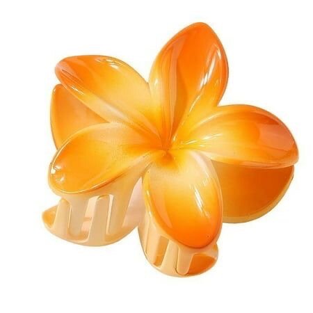 Pince à cheveux
