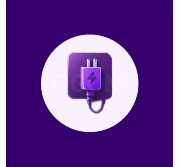 CHARGER PLUG