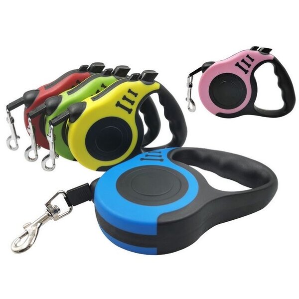 Laisse pour chien