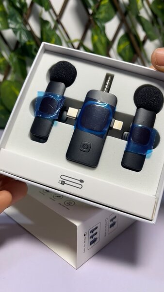 Microphone