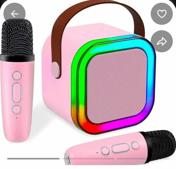 Wireless Karaoke Speaker