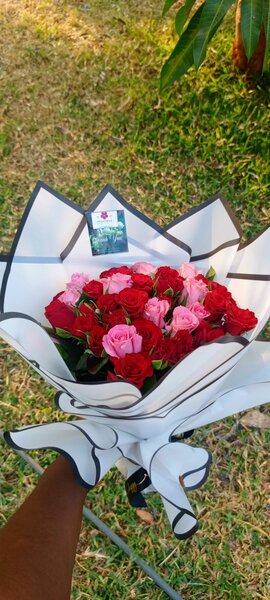 Rose flowers