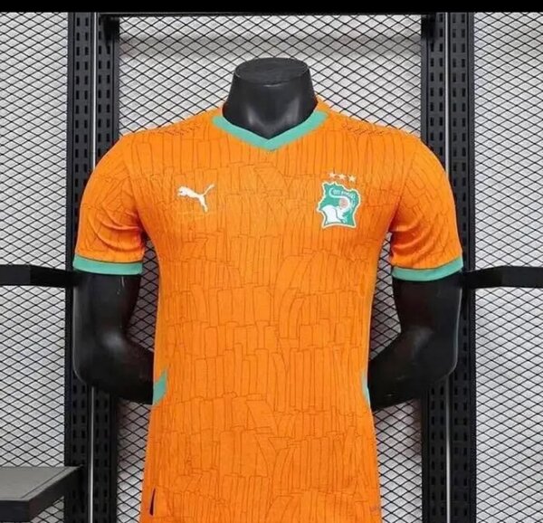 MAILLOT ÉLÉPHANTS 25/26