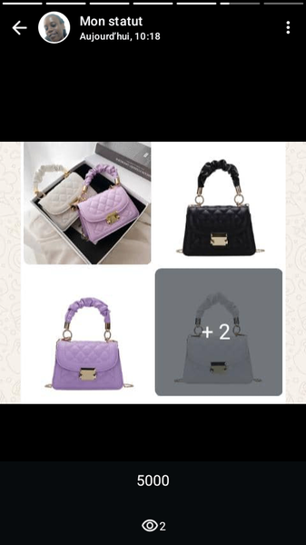 Petit sac à main élégant