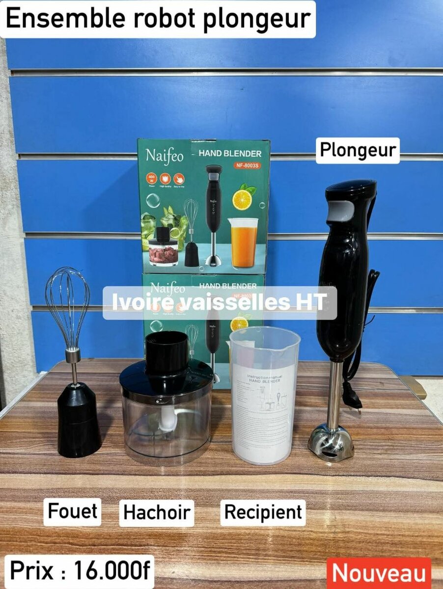 Naifeo Mixeur Plongeant Complet