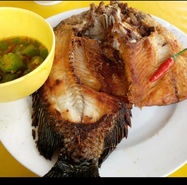 Tbone & Fish