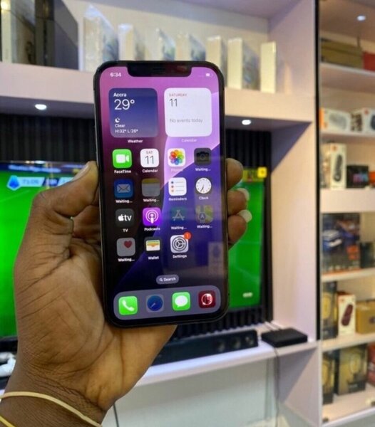 iPhone 12 Pro Max