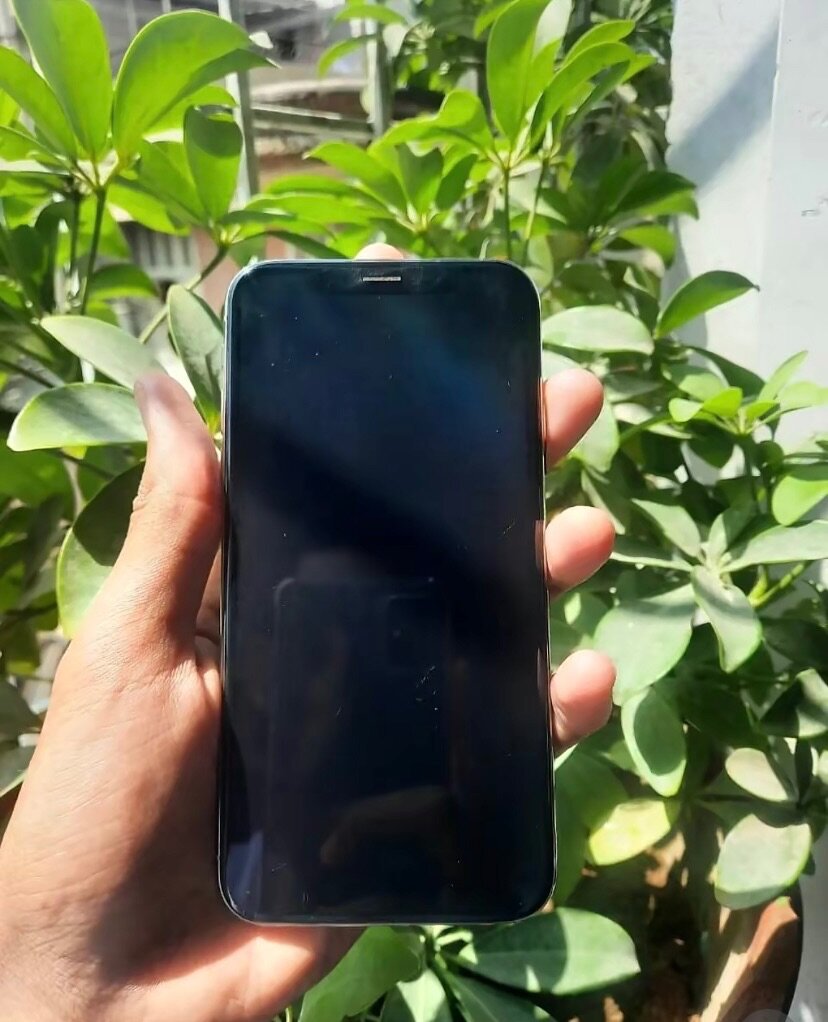 iPhone X