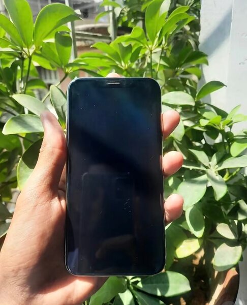 iPhone X