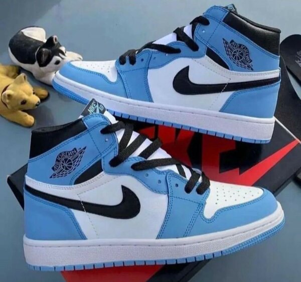 Jordan 1 long