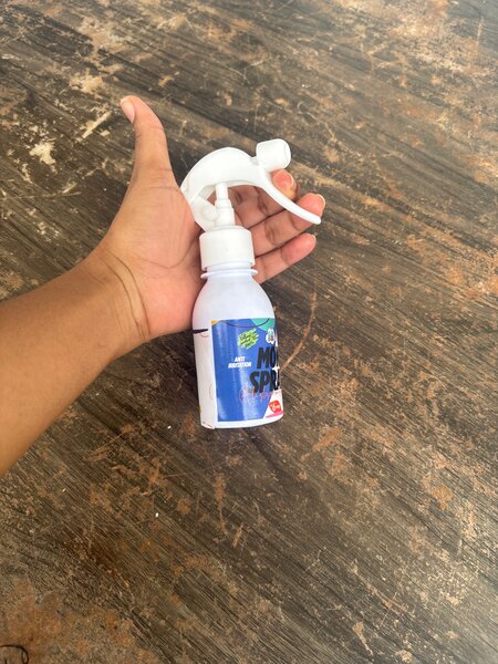 SPRAY CHEVEUX