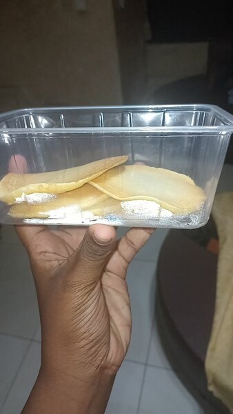 Pancakes nature