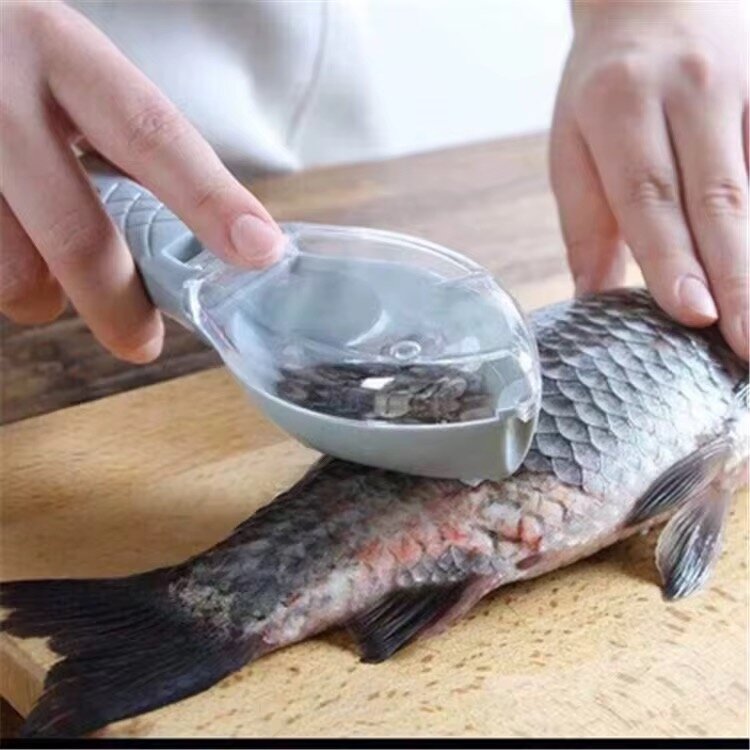 Détarteur de Poisson Efficace