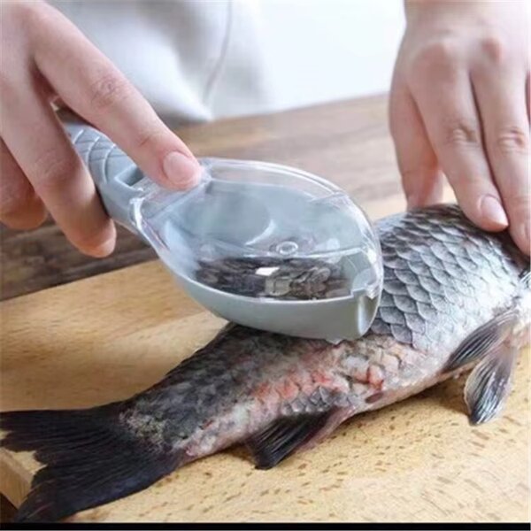 Détarteur de Poisson Efficace