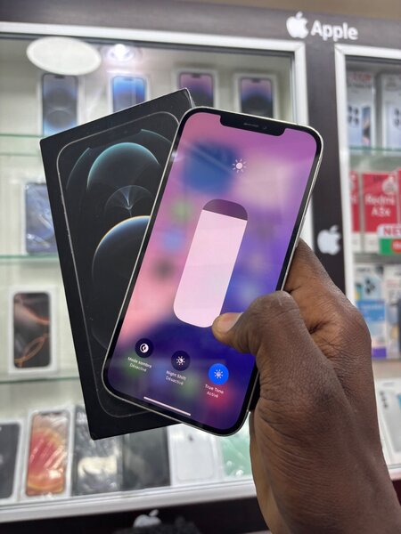 iPhone 12 Pro Max