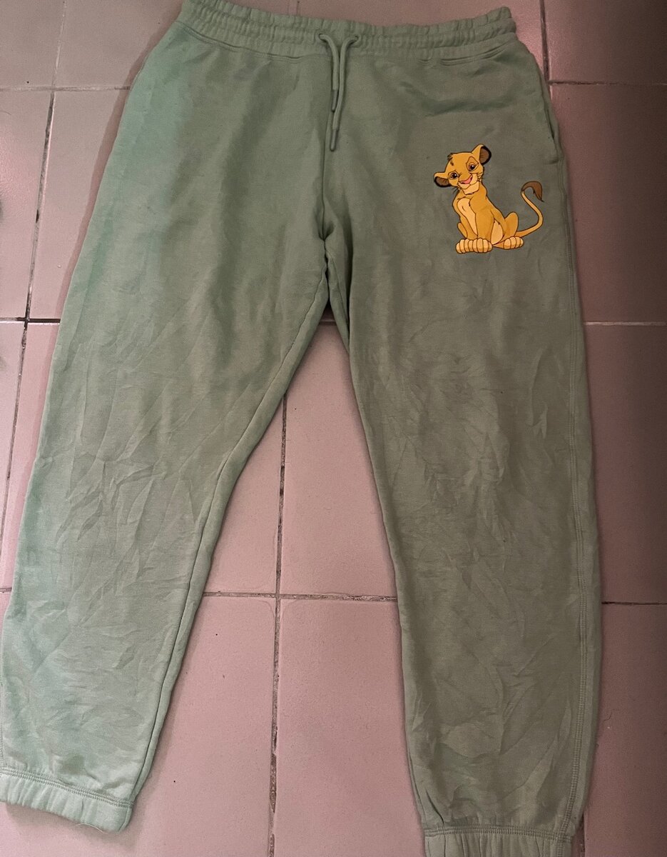 Jogging le roi lion