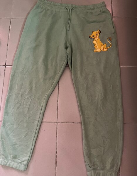 Jogging le roi lion