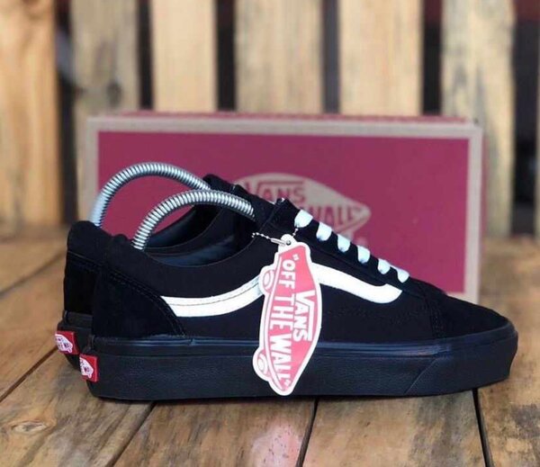 Vans dunk